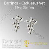 Øreringe -  Caducecus Vet  i Sterling Sølv