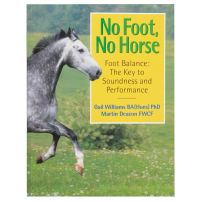 No foot no horse