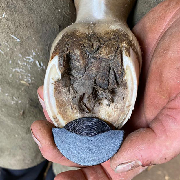 Foal-Click Toe Extension - Van lede 2