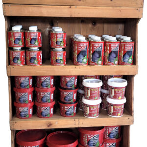 Kevin Bacon's complete bookcase large 4097 0