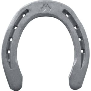 Dynamic Hind Scl WEB2264 0