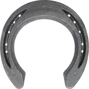 Vulcan Evolution Front Scl WEB2308 0